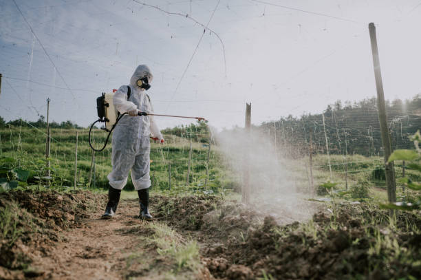 Best Commercial Pest Control Services  in Channahon, IL
