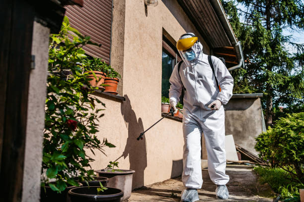 Trusted Channahon, IL Pest Control Experts
