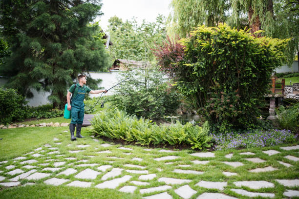Best Pest Control Near Me in Channahon, IL