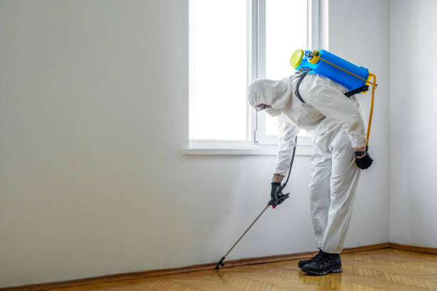 Best Pest Removal Services  in Channahon, IL