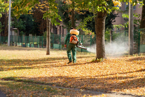 Best Rat Extermination Near Me  in Channahon, IL