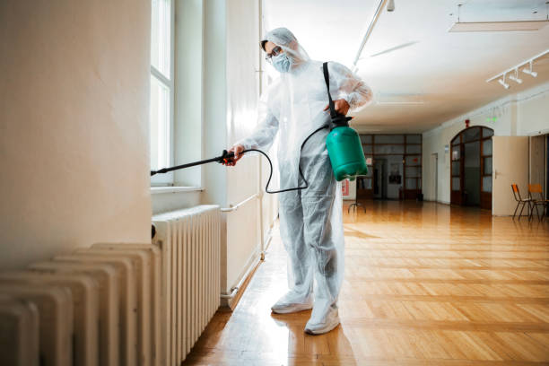 Best Pest Control Near Me in Channahon, IL