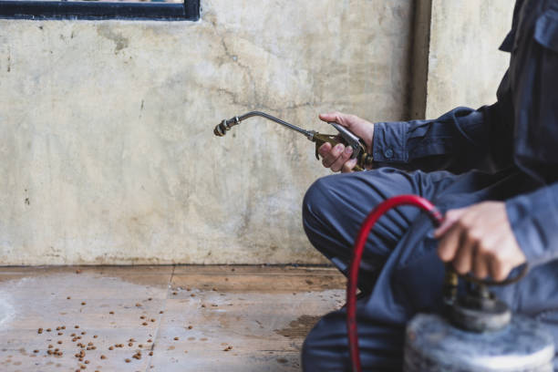 Best Emergency Pest Control  in Channahon, IL